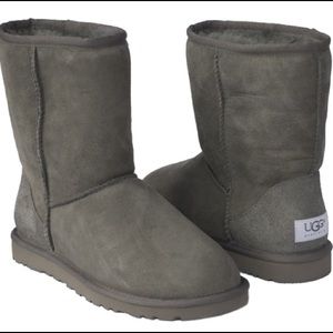 Ugg Classic Short Grey Boots
